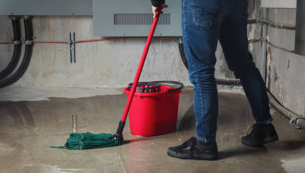  Navasota, TX Water damage restoration Pros