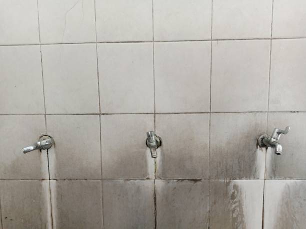 Best Fire Damage Restoration  in Navasota, TX